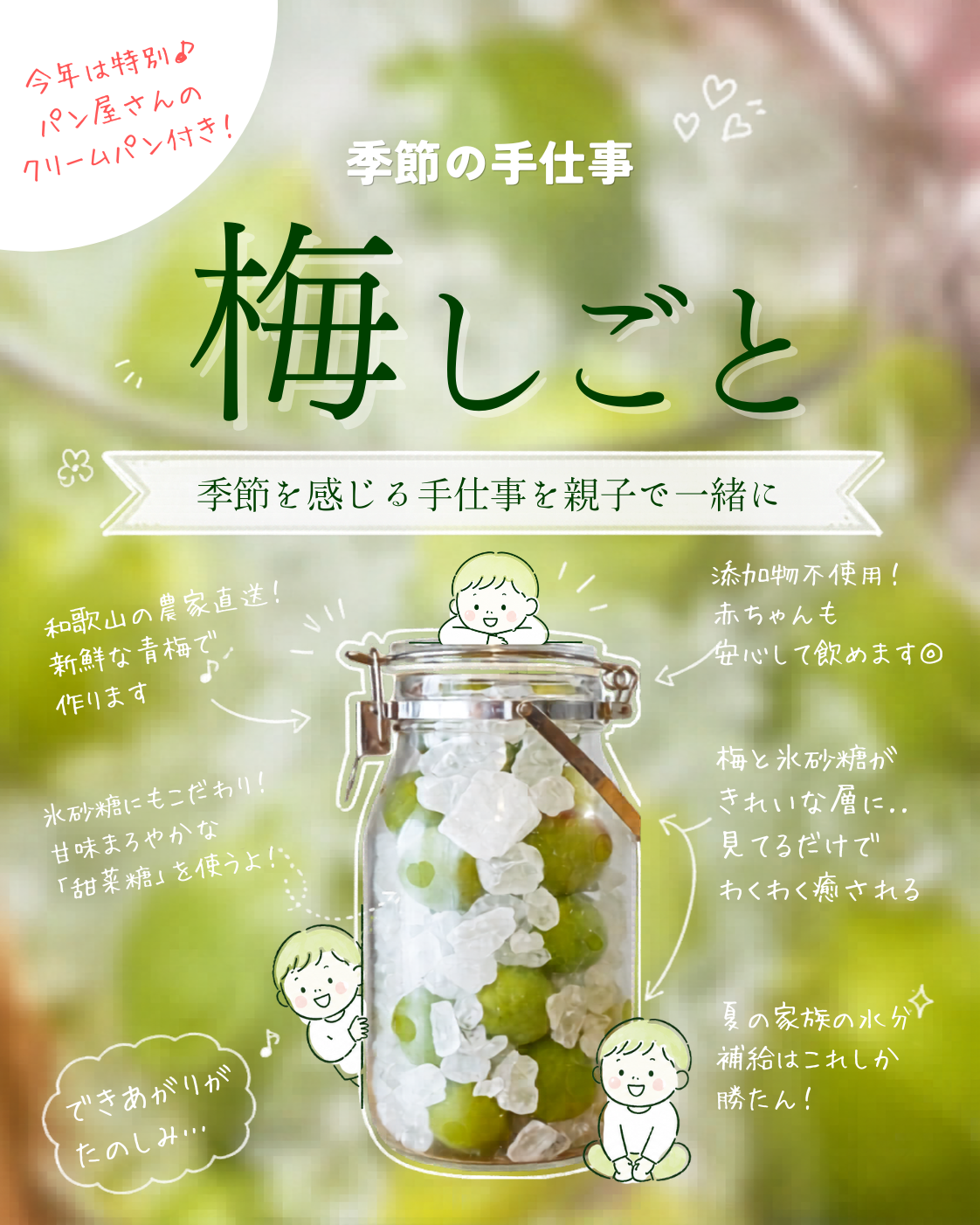大人気！梅シロップWS（２０２６）