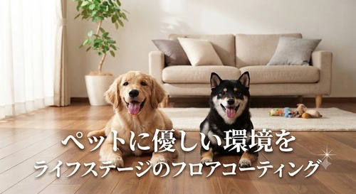 ペットに優しい環境を！ペットに最適のフロアコーティング　ペット用フロアコーティング 埼玉 ライフステージ