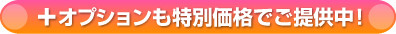 「新築限定キャンペーン」をご注文頂いたお客様限定で 新築だからこそ効果を発揮する、 3つのオプションを特別価格でご提供！