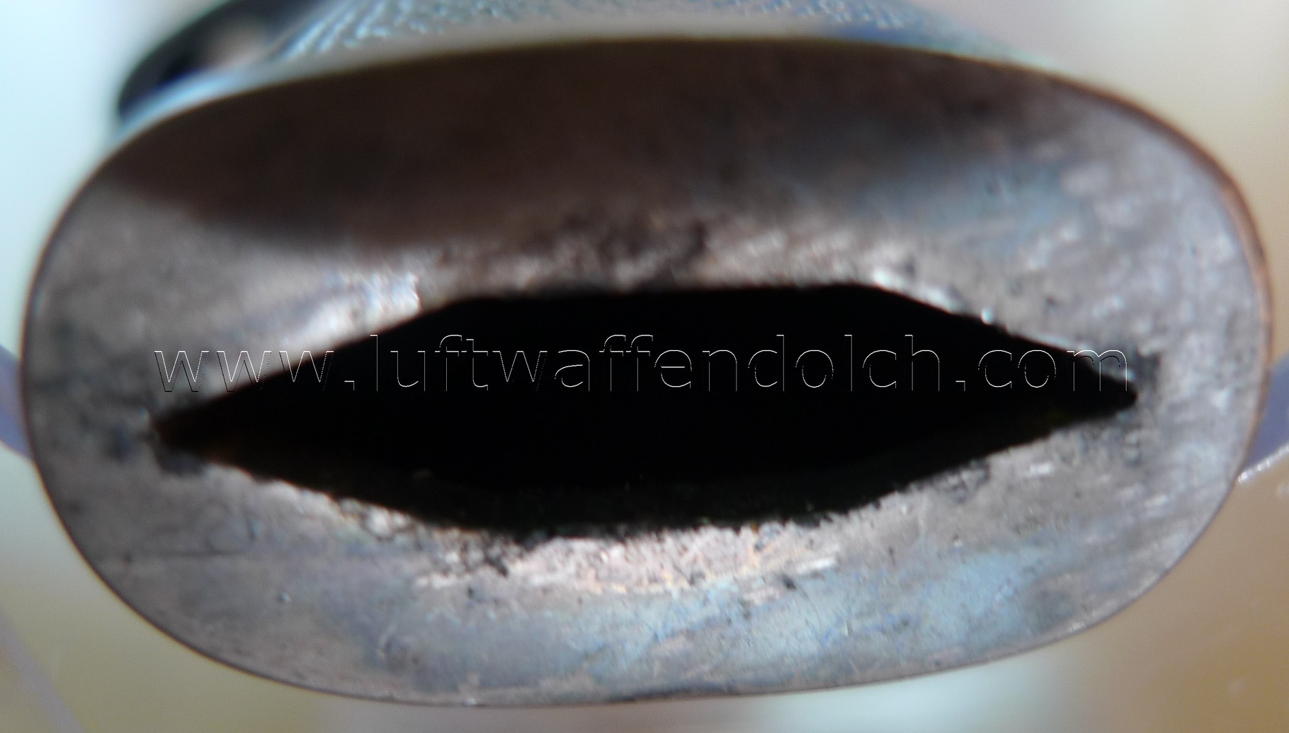 Die Scheide des Standardmodells war im Auslieferungszustand eine