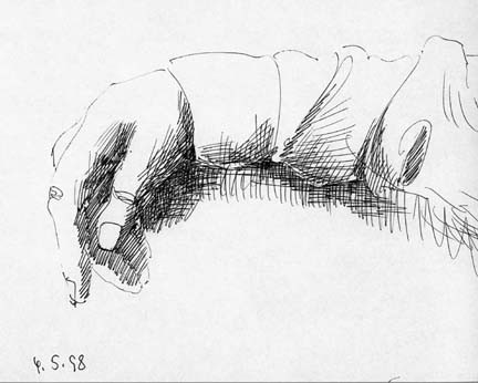 Eine Hand