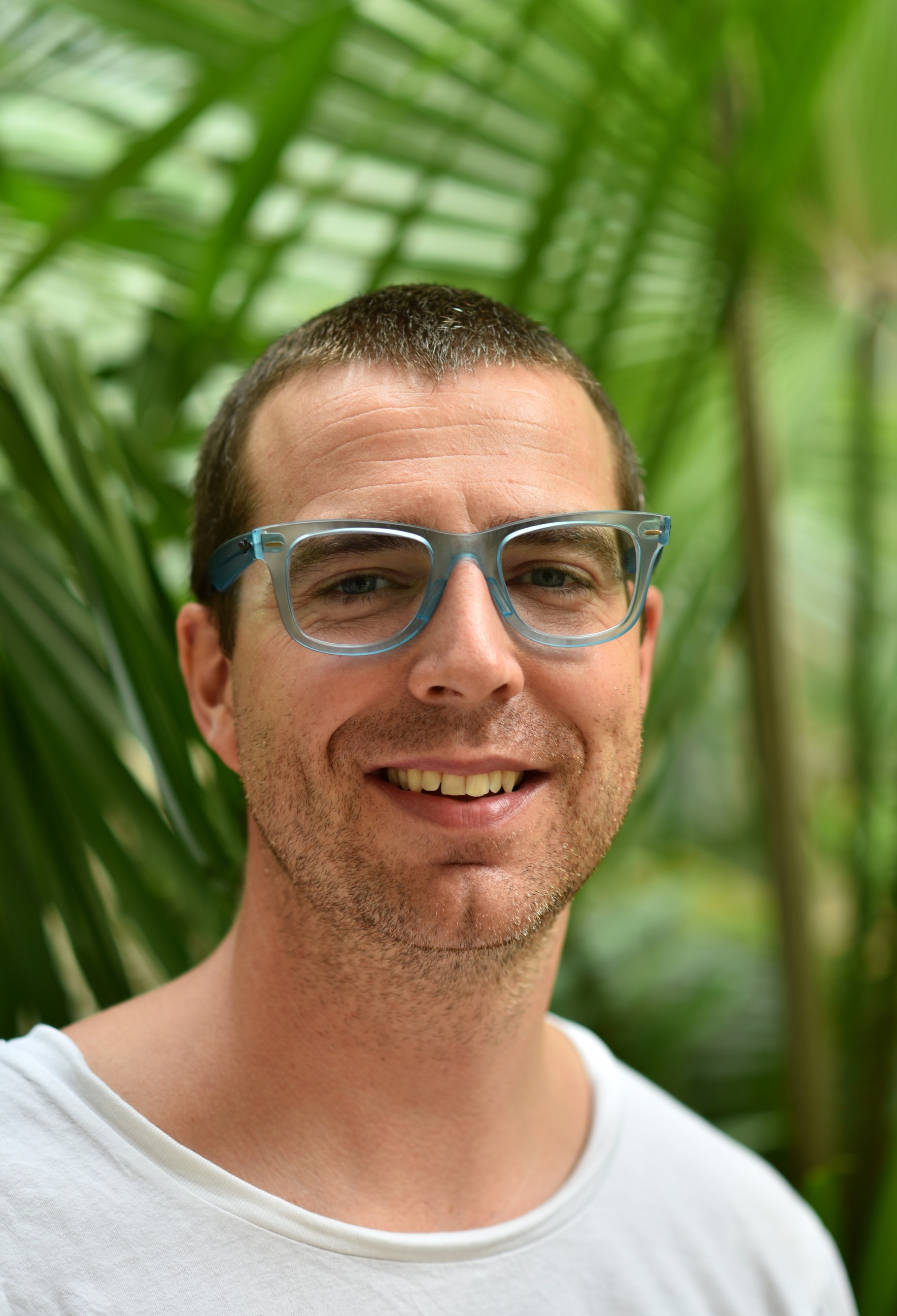 Ingo (Jun. 2015) Beta Blogger