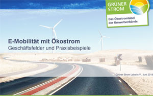 Die Infobroschüre stellt die Kombination von Elektromobilität mit zertifiziertem Ökostrom in den Mittelpunkt