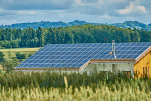 Unternehmen in den alten Bundesländern – insbesondere in Rheinland-Pfalz, Baden-Württemberg und Bayern – führen deutlich mehr Innovationen im Bereich erneuerbarer Energien ein als Unternehmen in Ostdeutschland.