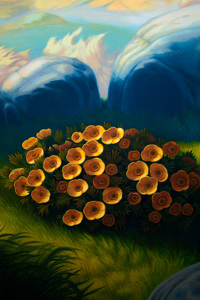 "All gold in the world" - Mountain flowers like gold coins, detail