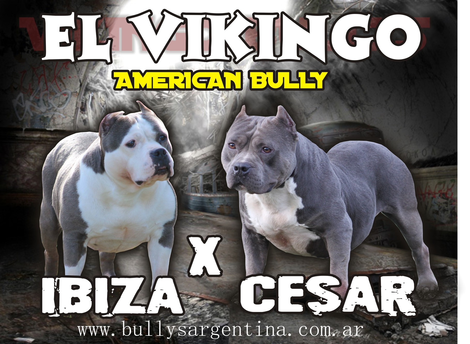 ESTOS SON LOS NUEVOS CRUCES! YA PODES RESERVAR, Y RECORDA QUE PUEDES