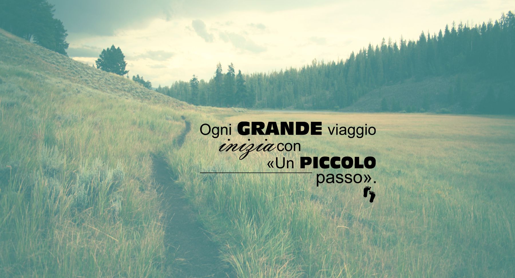 UN PICCOLO PASSO a.p.s. Benvenuti su Un Piccolo Passo a.p.s.