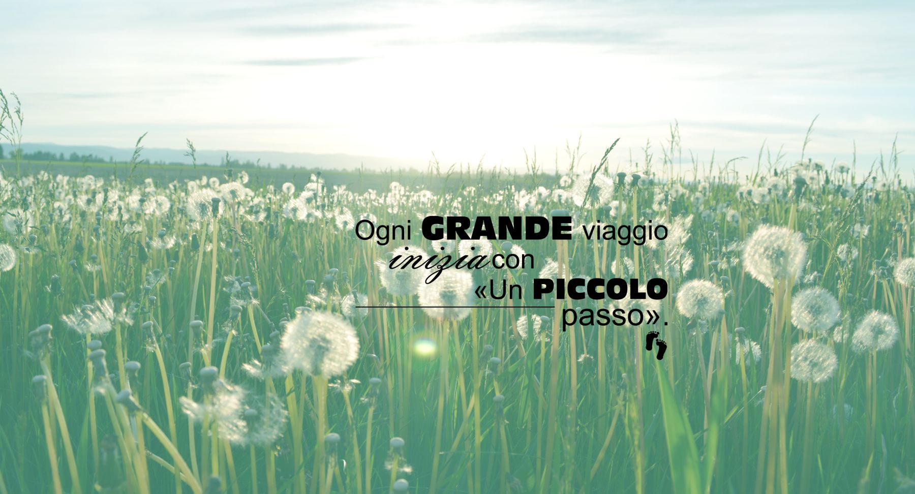 Chi siamo... Benvenuti su Un Piccolo Passo a.p.s.