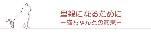 里親になるために　－猫ちゃんとの約束－