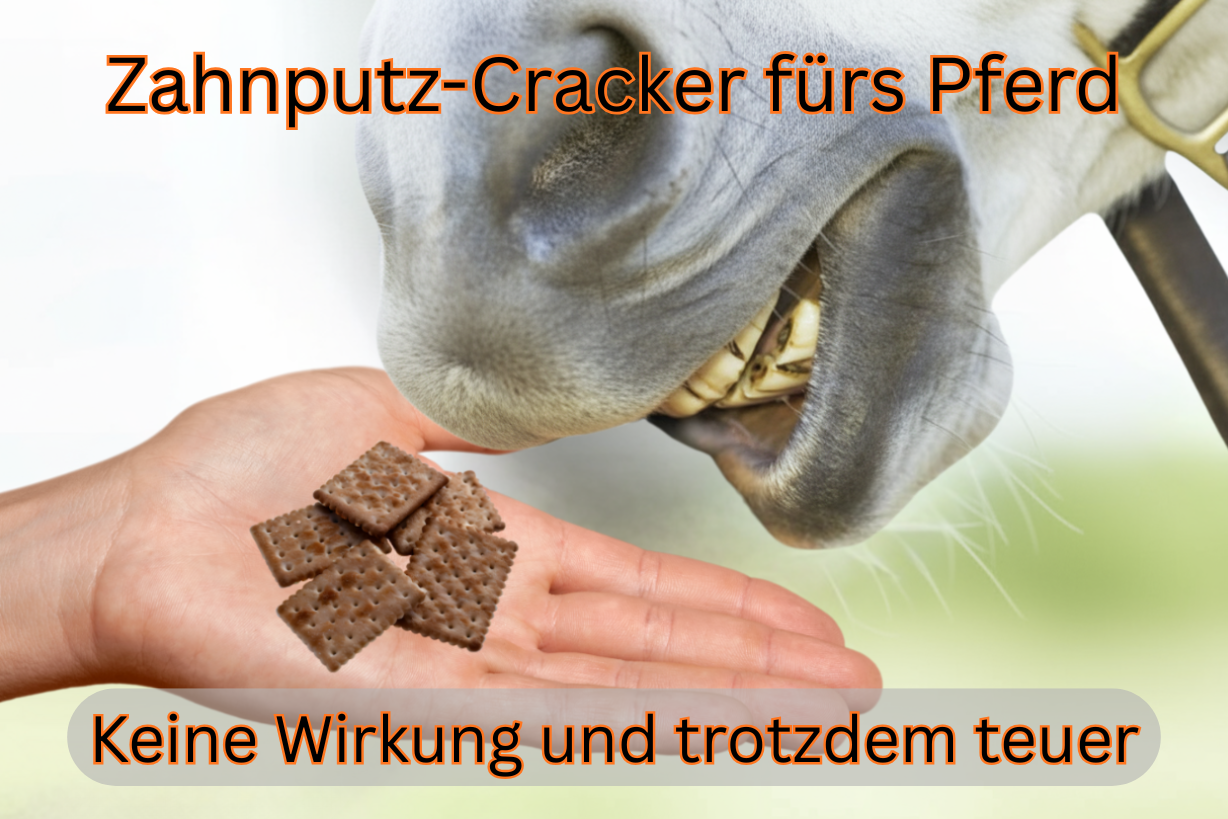 Zahnputz-Cracker fürs Pferd: Keine Wirkung und trotzdem teuer