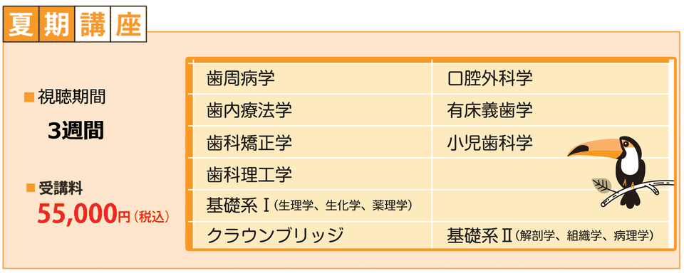 全5日間10教科（歯内・有床・ｸﾗﾌﾞﾘ・矯正・理工・小児・口外・基礎Ⅰ・Ⅱ・歯周）