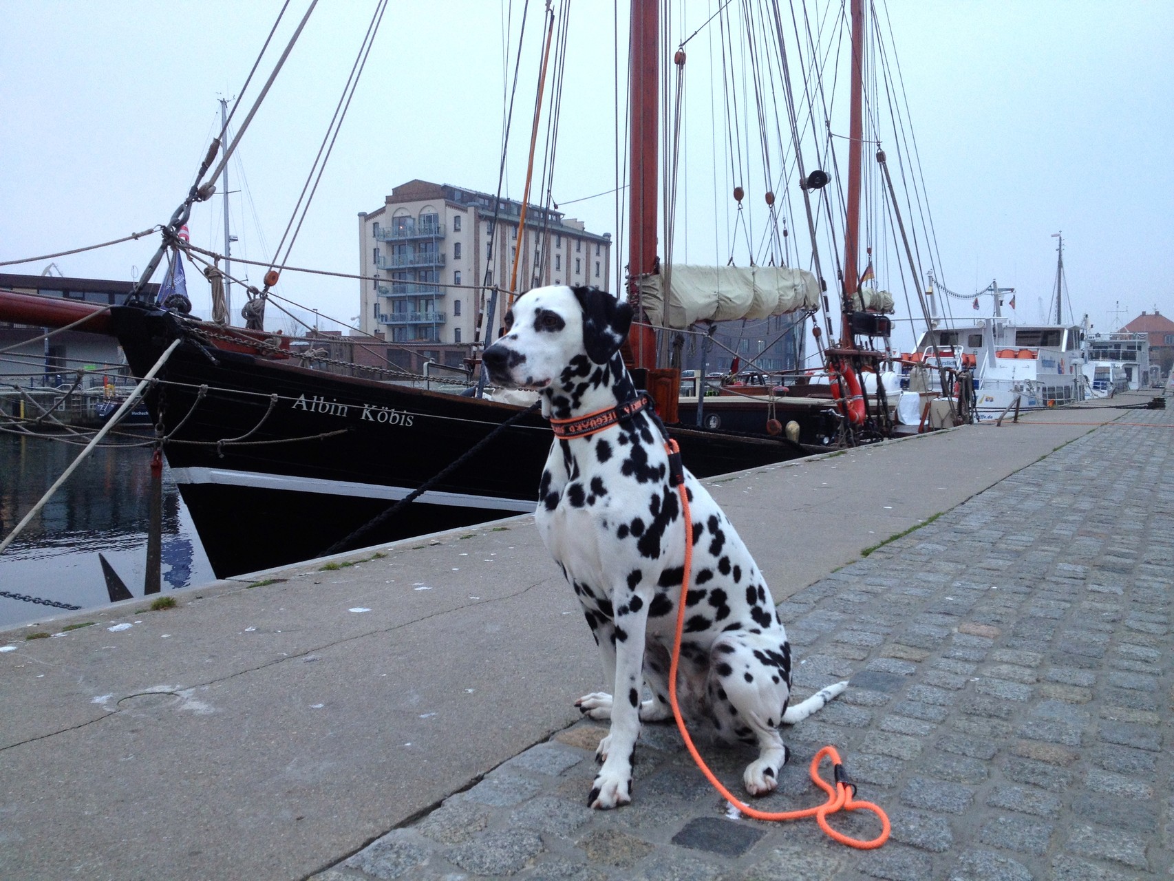 Hier sind wir am Hafen von Wismar ...