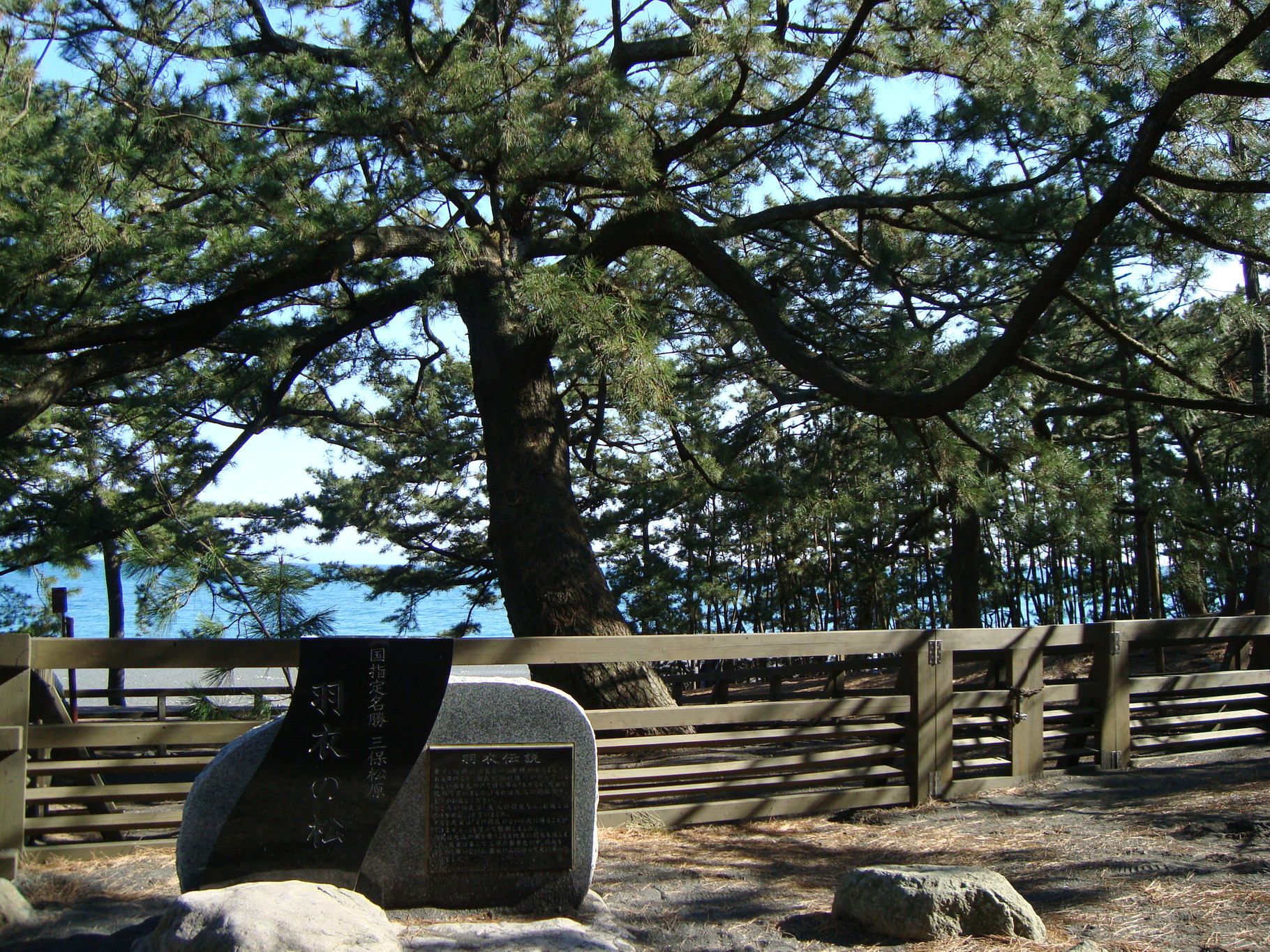 三保の松原 能楽を身近に 静岡で 三保の松原 能楽を身近に 静岡で