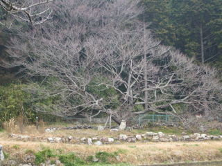 Japan Ise, Mie prefecture10
