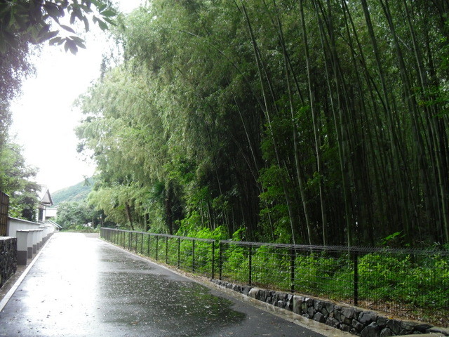 竹林公園４