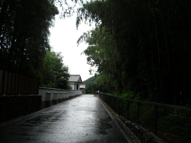 竹林公園５
