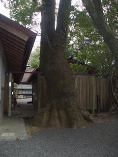 Japan Ise, Mie prefecture22