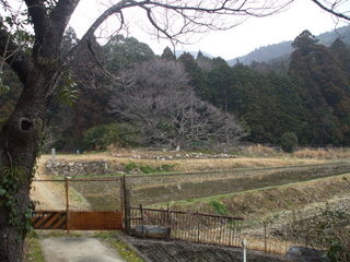 Japan Ise, Mie prefecture11