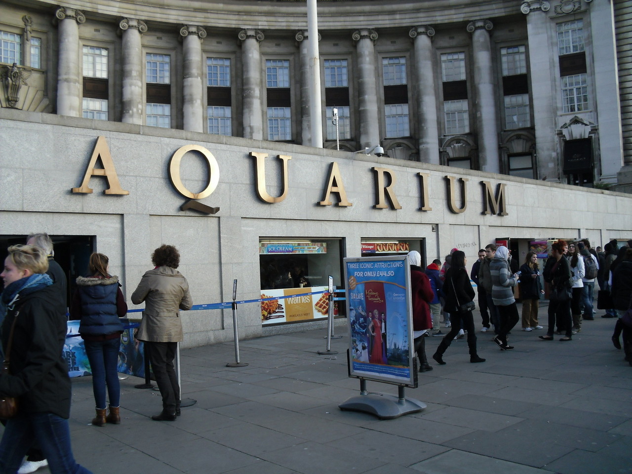 ロンドン・アイ周辺水族館