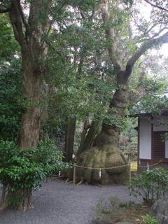 Japan Ise, Mie prefecture12