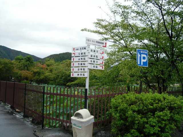 渡月橋から竹林への道中２