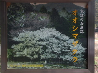 Japan Ise, Mie prefecture9