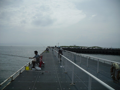 知多・豊浜の海6