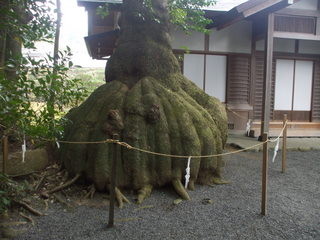 Japan Ise, Mie prefecture21