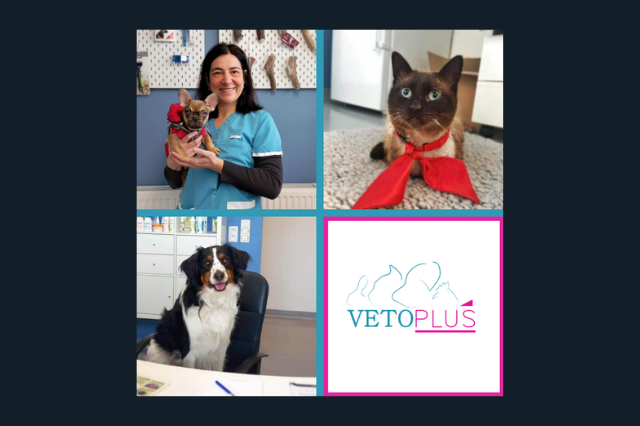 VétoPlus | Centre vétérinaire à Barvaux