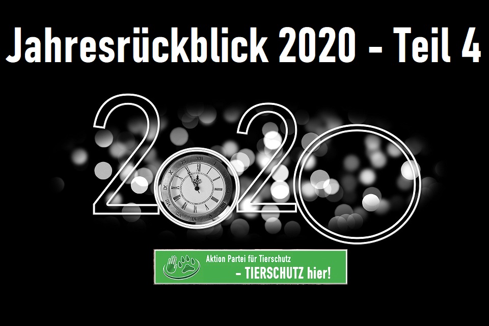 #291 Jahresrückblick 2020 - Teil 4