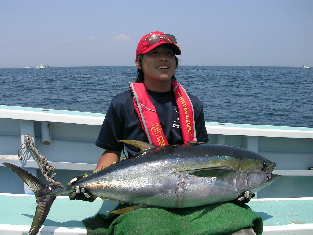 相模湾キハダ