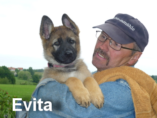 Evita von der Brunnenklinge