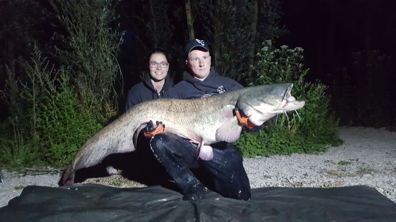 Wie Heist Das Sternzeichen Fisch Auf Englisch www.Elbmonster.de - Elbmonster Website
