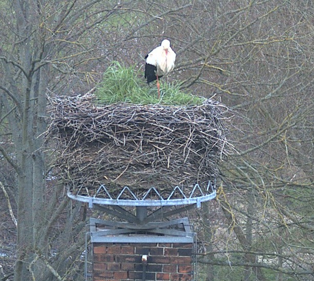 Schönfließ