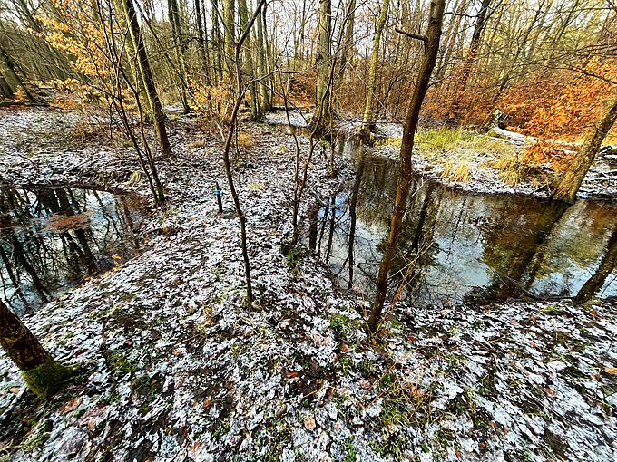 10. Januar