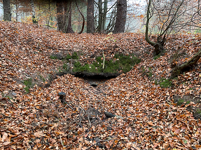 13. Dezember vorher