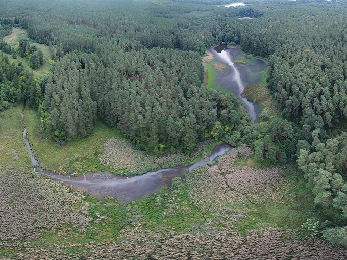 Unteres Rennebruch im Trockensommer 2022