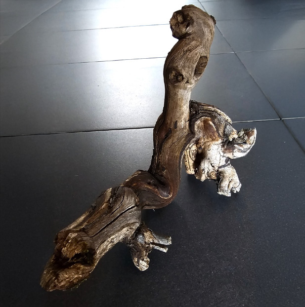 Workshop "Weingeister"