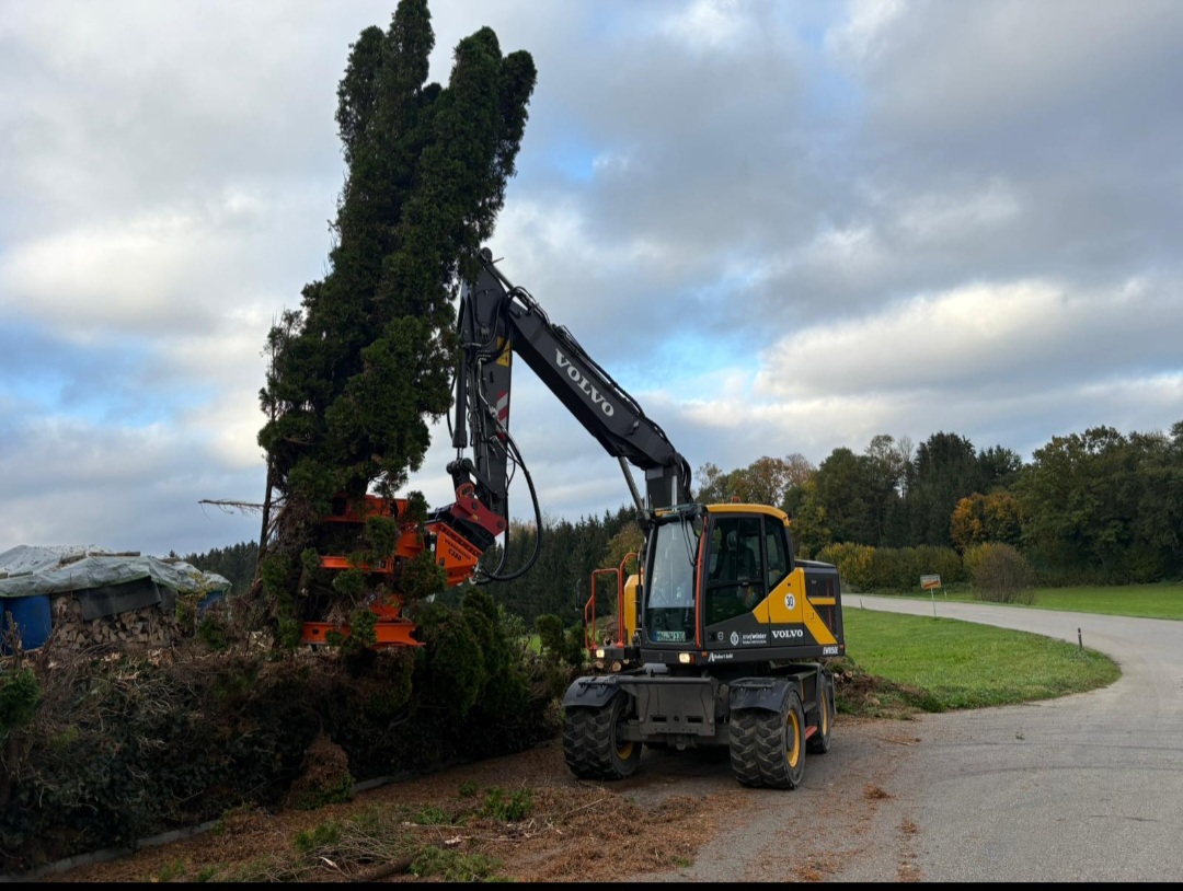 Woodcracker C350