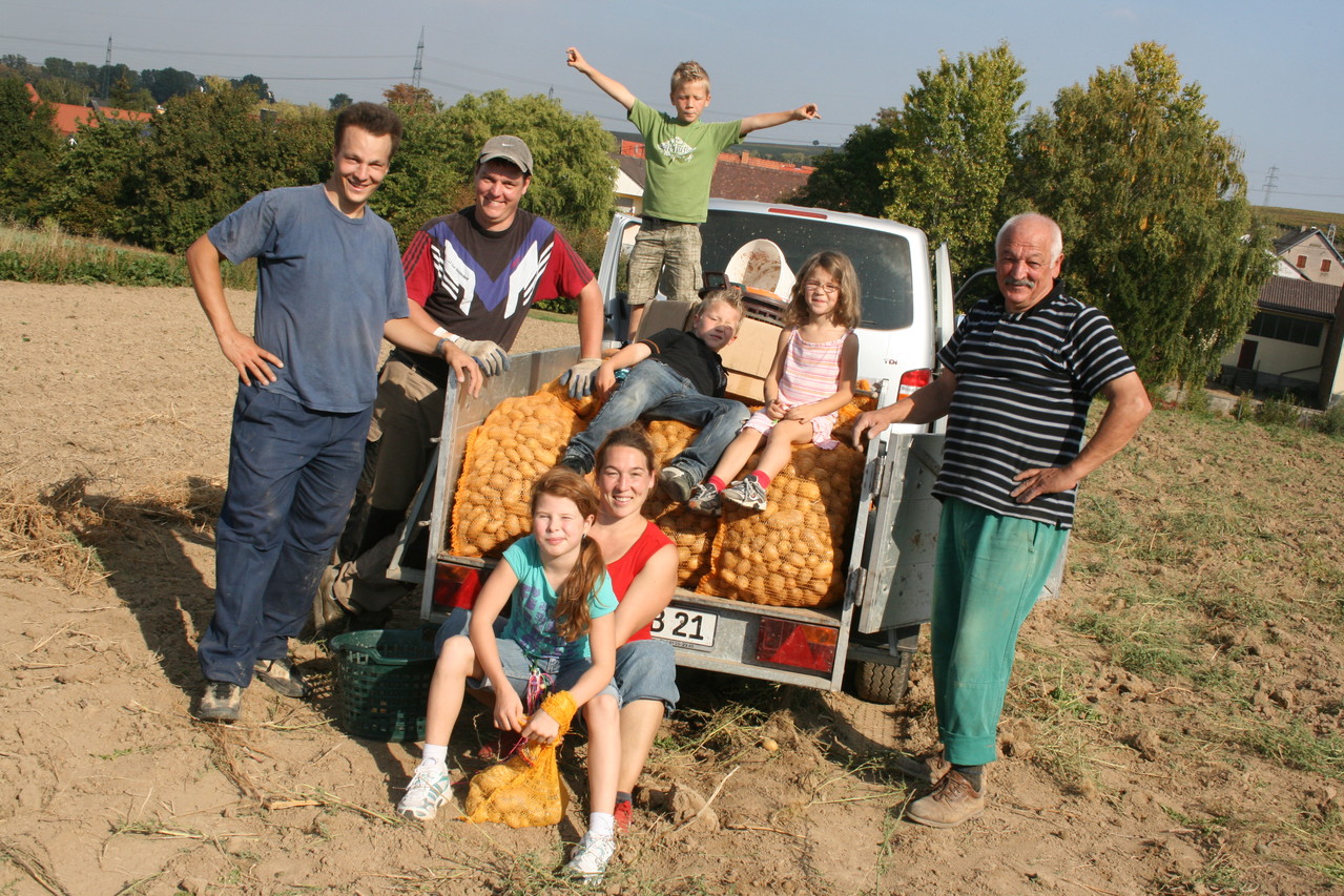 Kartoffeln - Weingut Heinz-Willi Dechent Saulheim im ...