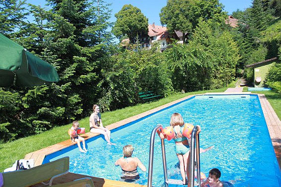 Ferienhof Hölzleberg - Ferienwohnung im Schwarzwald mit Pool, mit Schwimmbad, Ferienwohnung Schwarzwald von privat in Durbach - Pool für Hausgäste