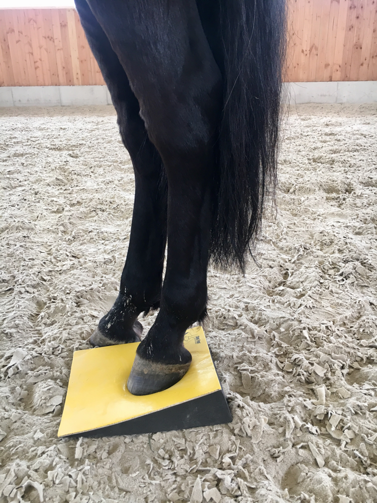 Sure Foot ®️ Equine Stability Pads Michaela Grau * Osteopathie