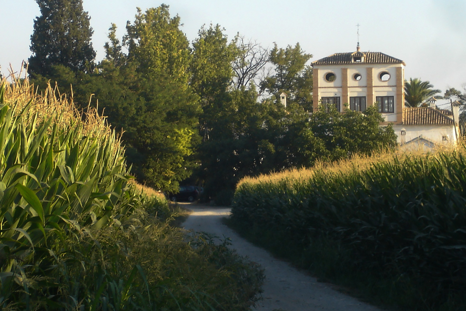 View on the farmhouse