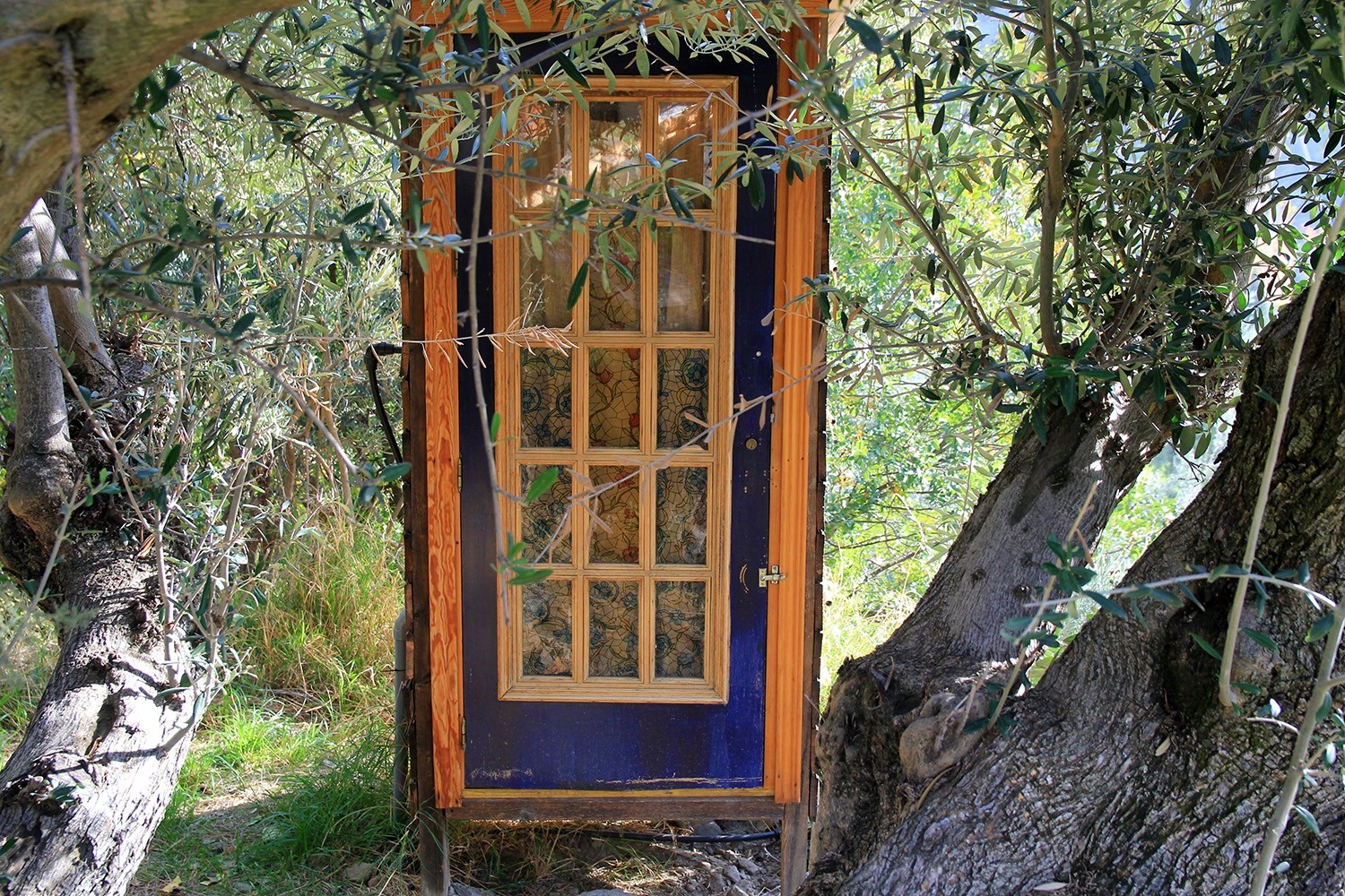 The toilet cabin