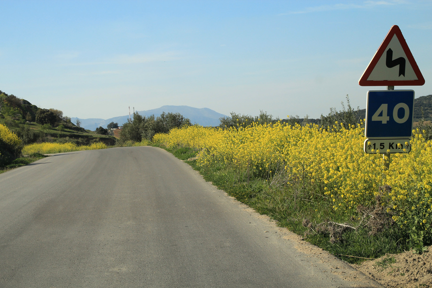 Field along the road Loja to Algarinejo