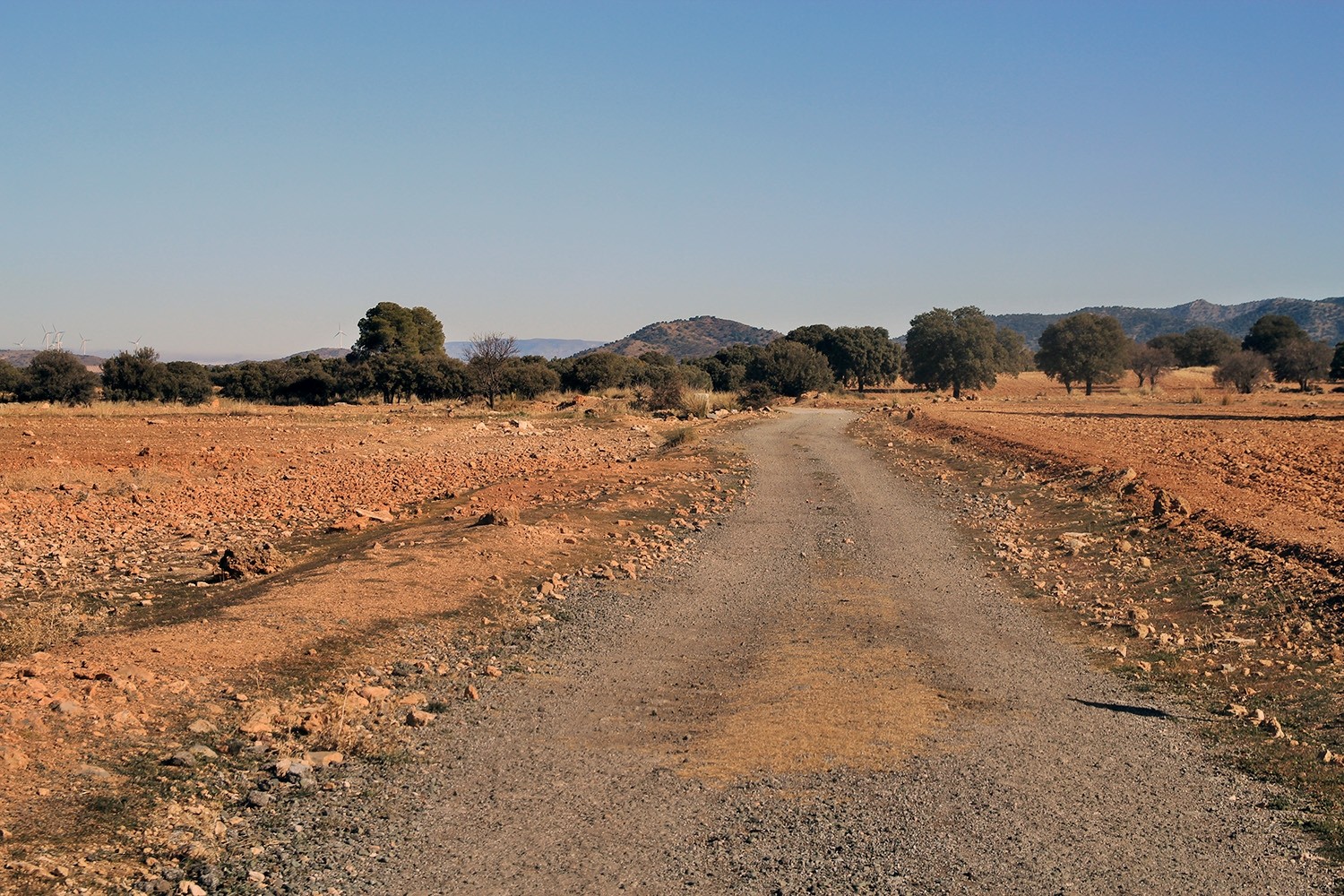 The dirt road (access from the main road)