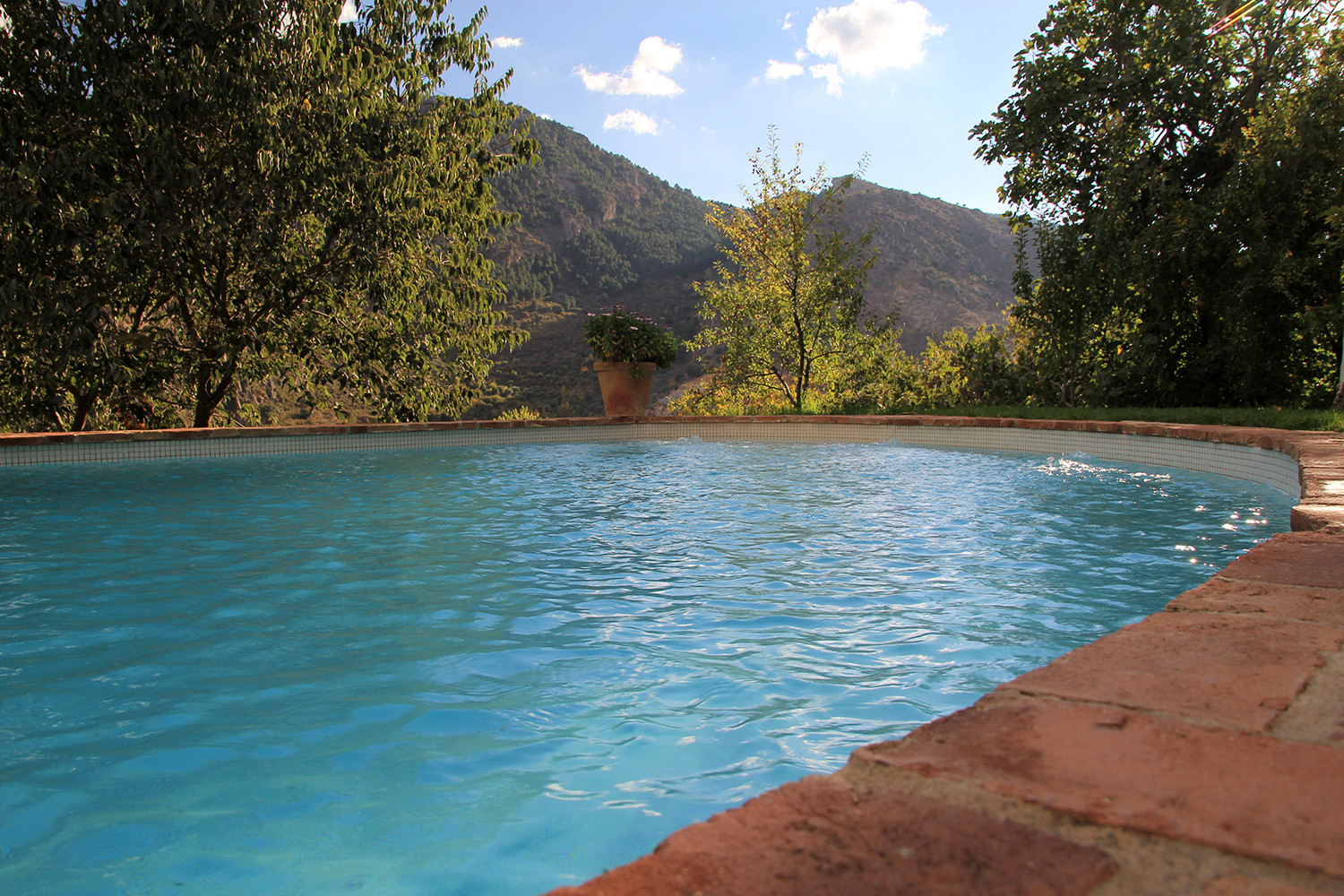 View from the swimming pool