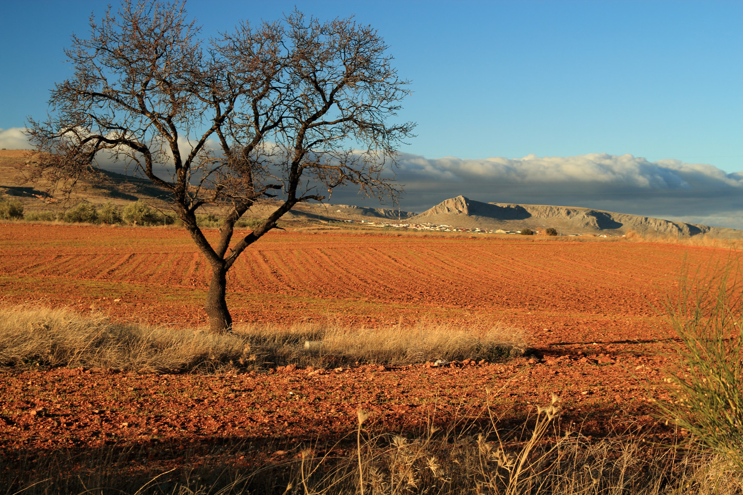 The Red Countryside near Guadix