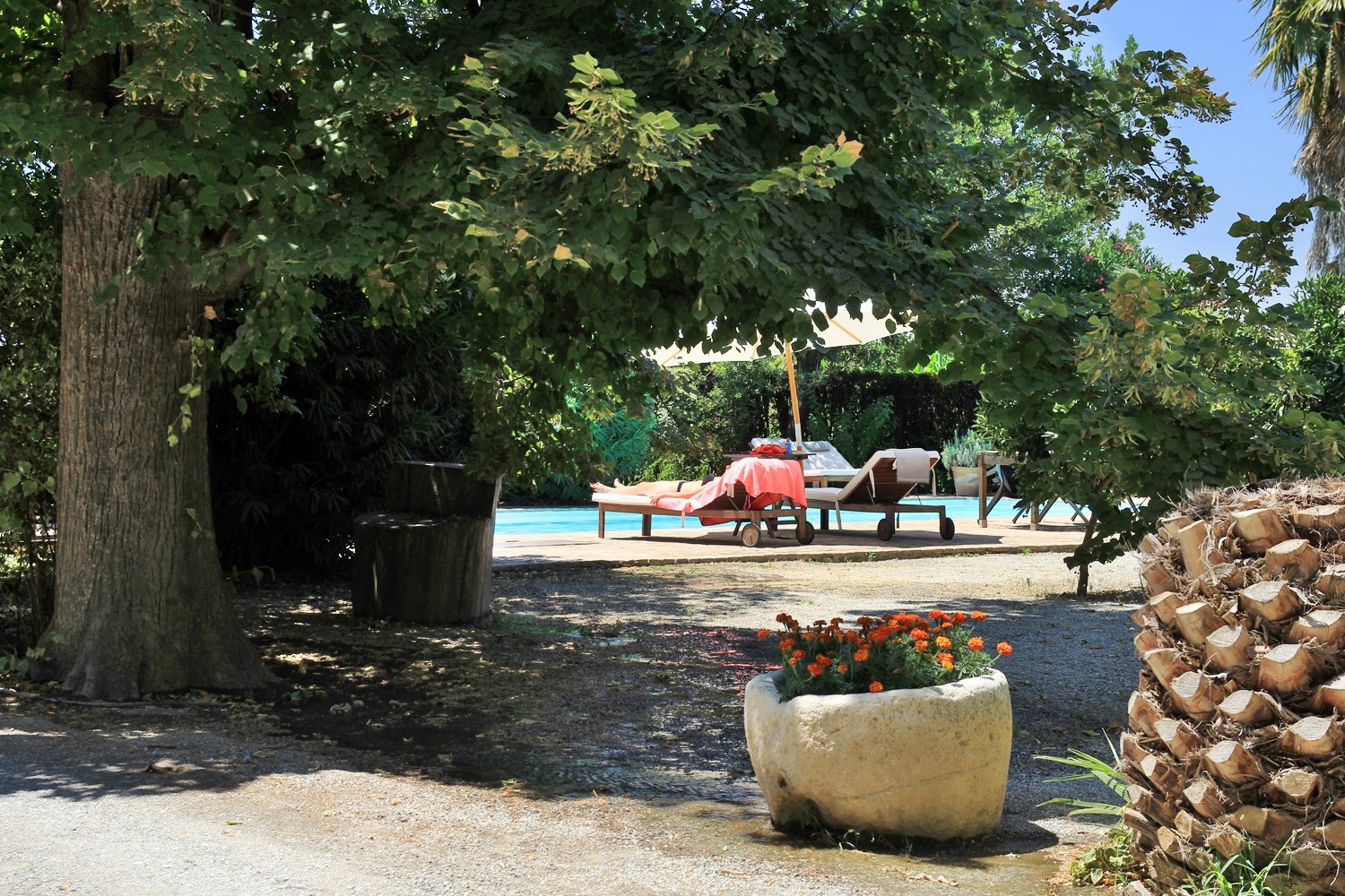 View to the swimming pool