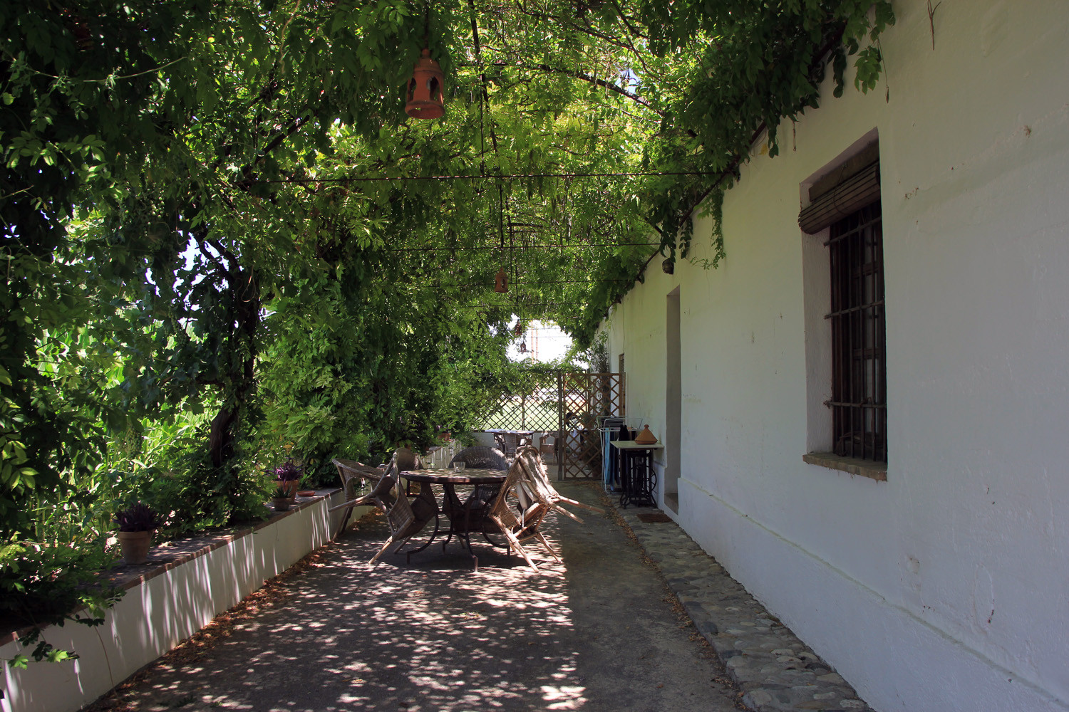 The back of the farmhouse